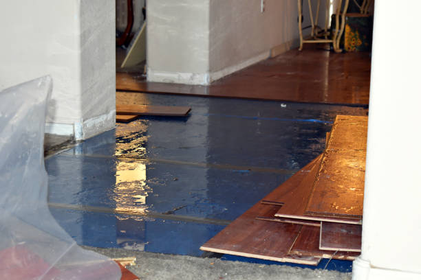 Professional Burst Pipe Cleanup technician working in Wilton, ME